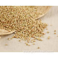 Buckwheat Rice Tea